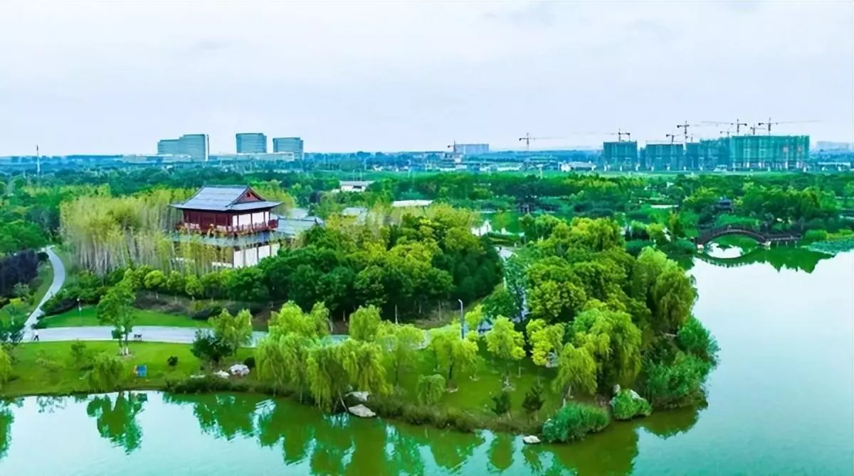 阜阳几个区几个县哪个发展好(12)