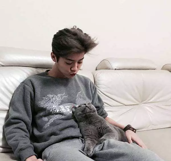 胡歌养的猫是什么品种(5)