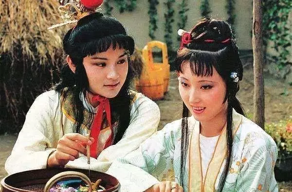 红楼梦枉凝眉是什么意思(5)