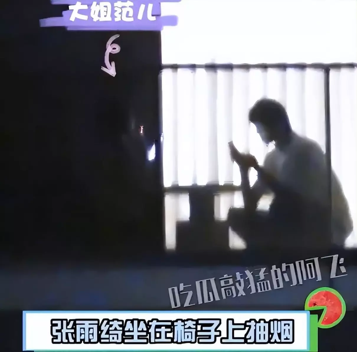 张雨绮是怎么进娱乐圈的(1)