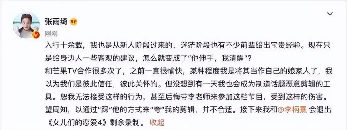 张雨绮是怎么进娱乐圈的(41)