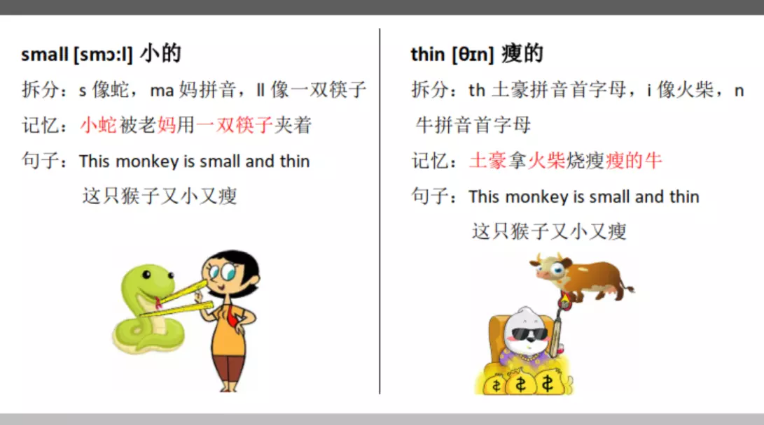 thin这个单词怎么记(2)