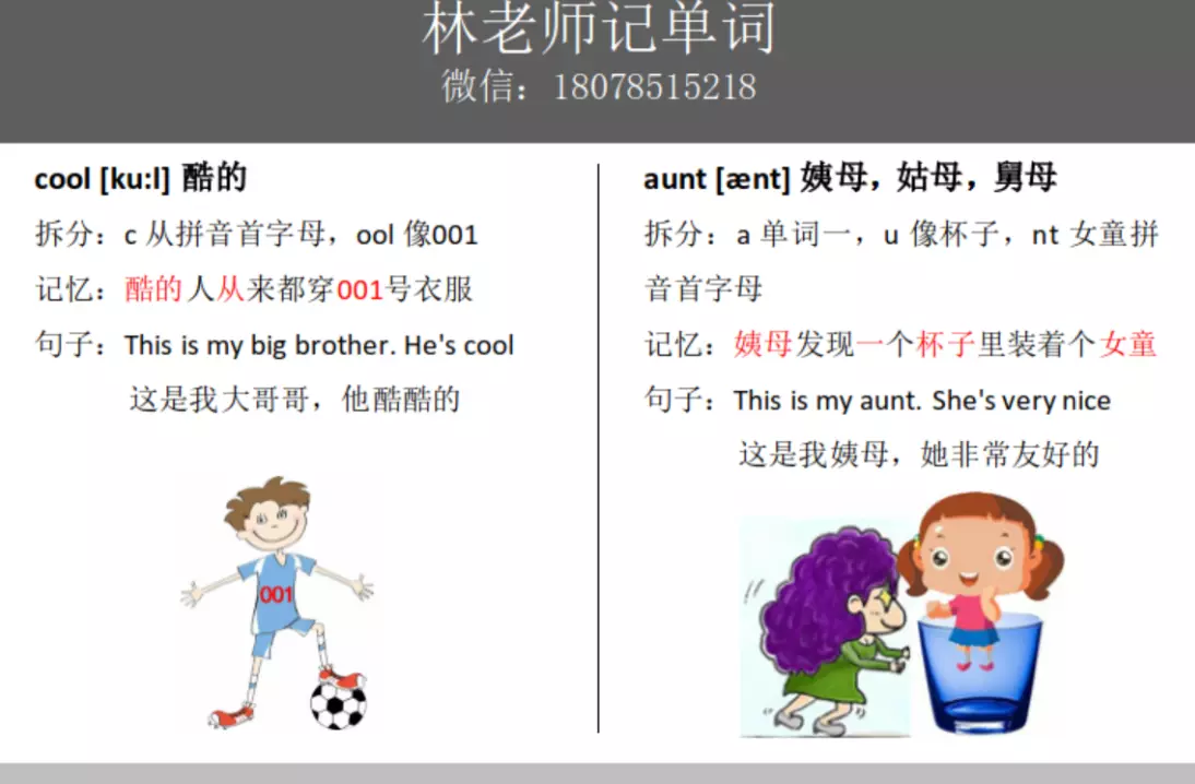 thin这个单词怎么记(4)