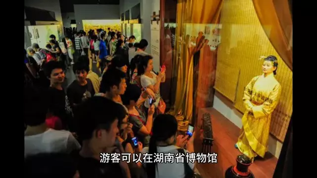 长沙市海底世界属于哪个区(4)