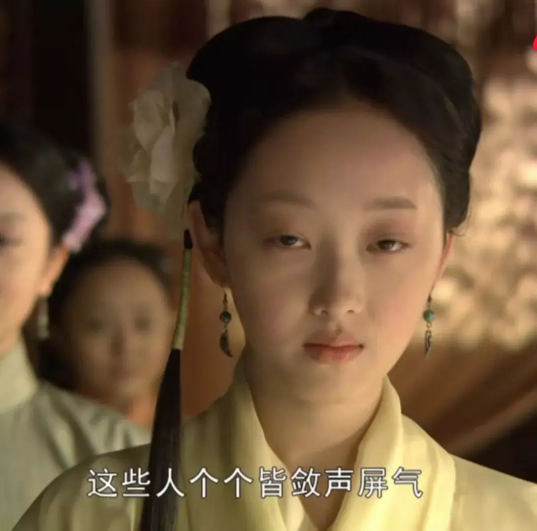 新红楼梦2010为什么下架(13)