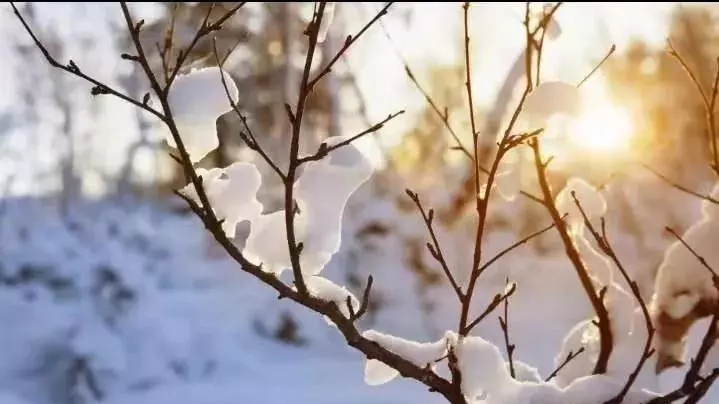大雪纷飞歇后语的下一句是什么(4)