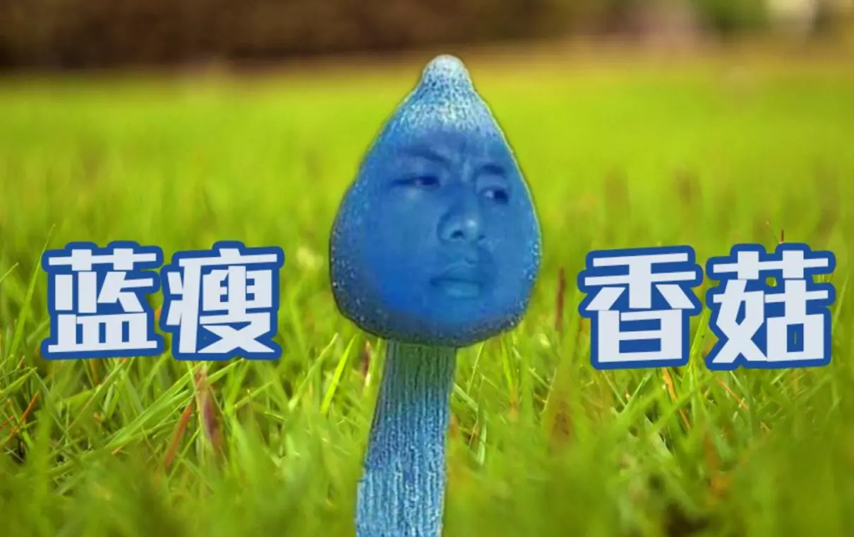 很low是什么意思网络用语(1)