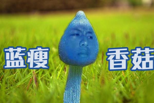 很low是什么意思网络用语.