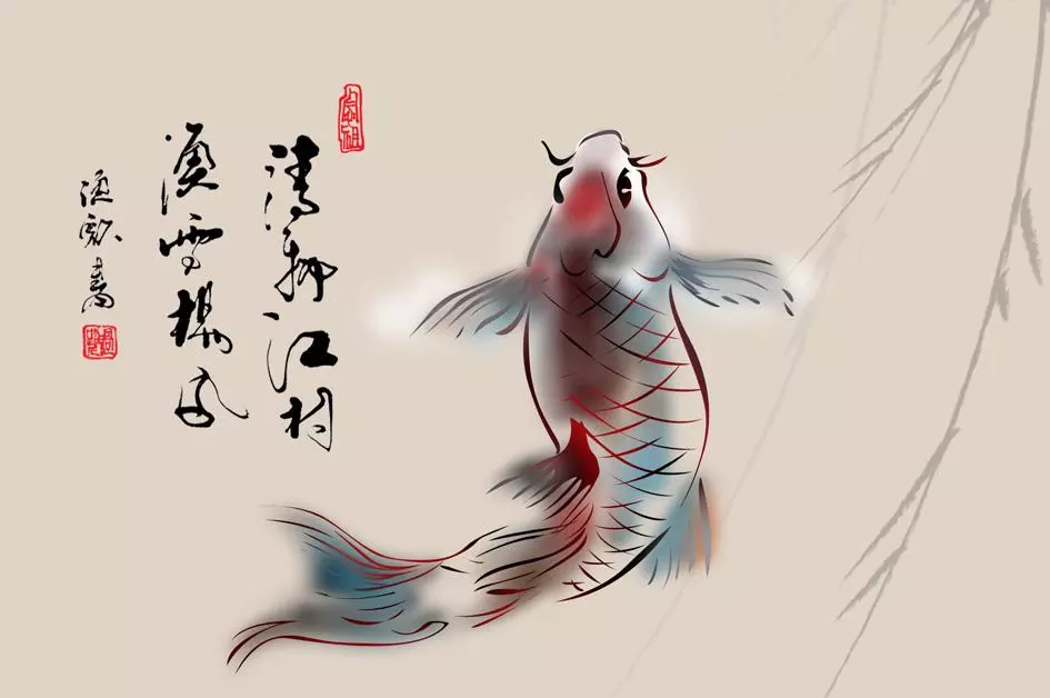 和鱼有关的成语有哪些(2)