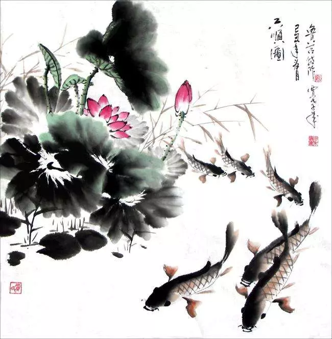 和鱼有关的成语有哪些(5)