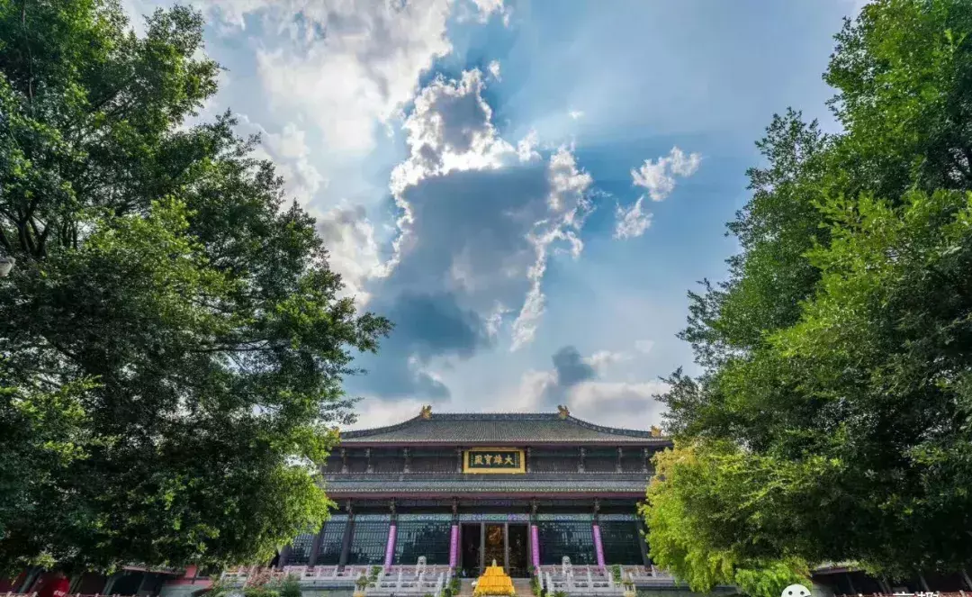 成都伴程旅游(18)