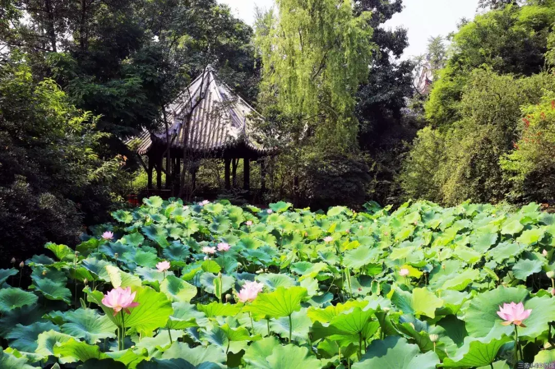 成都伴程旅游(2)