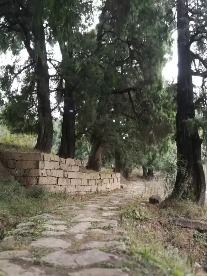 成都伴程旅游(7)