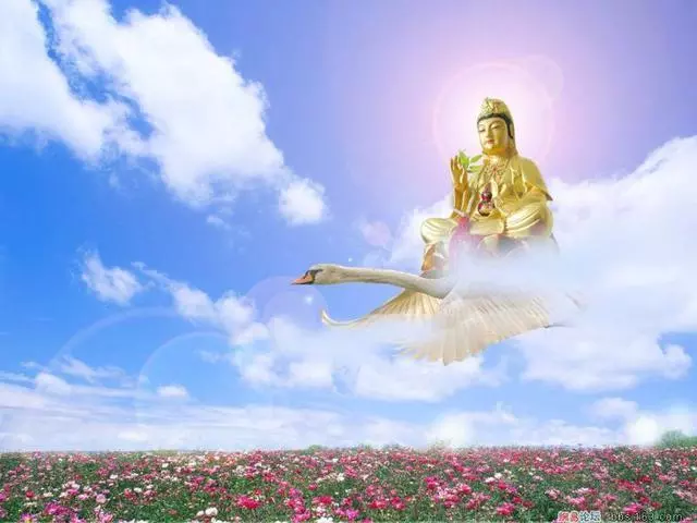 慈航真人和观音有什么区别(3)