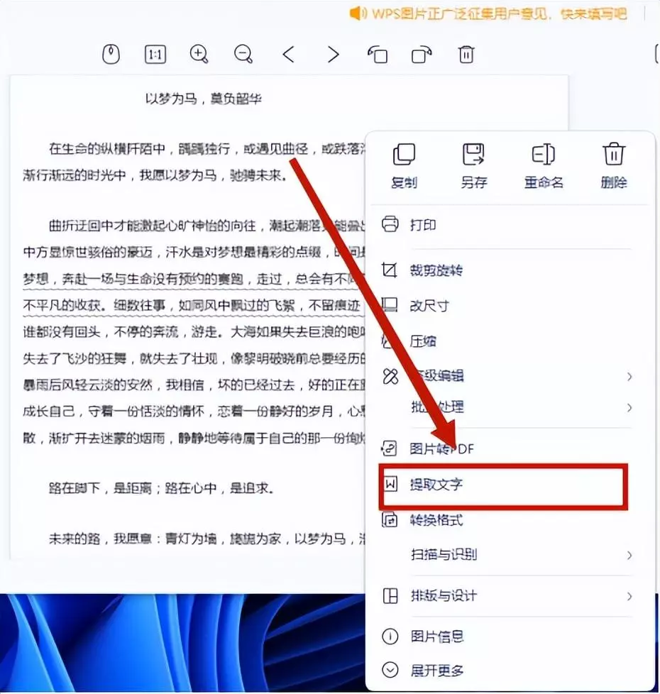 电脑上qq提取文字功能怎么用(8)
