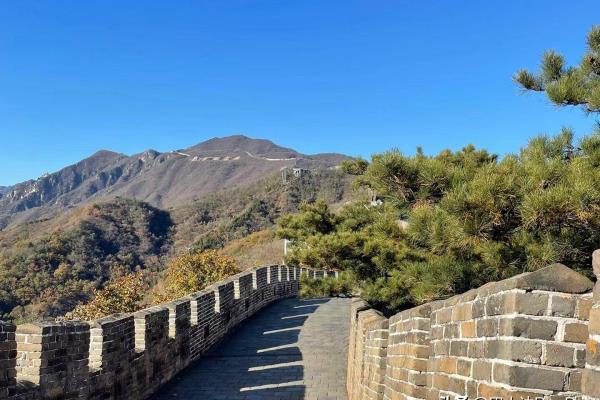 长城八达岭旅游门票价格.