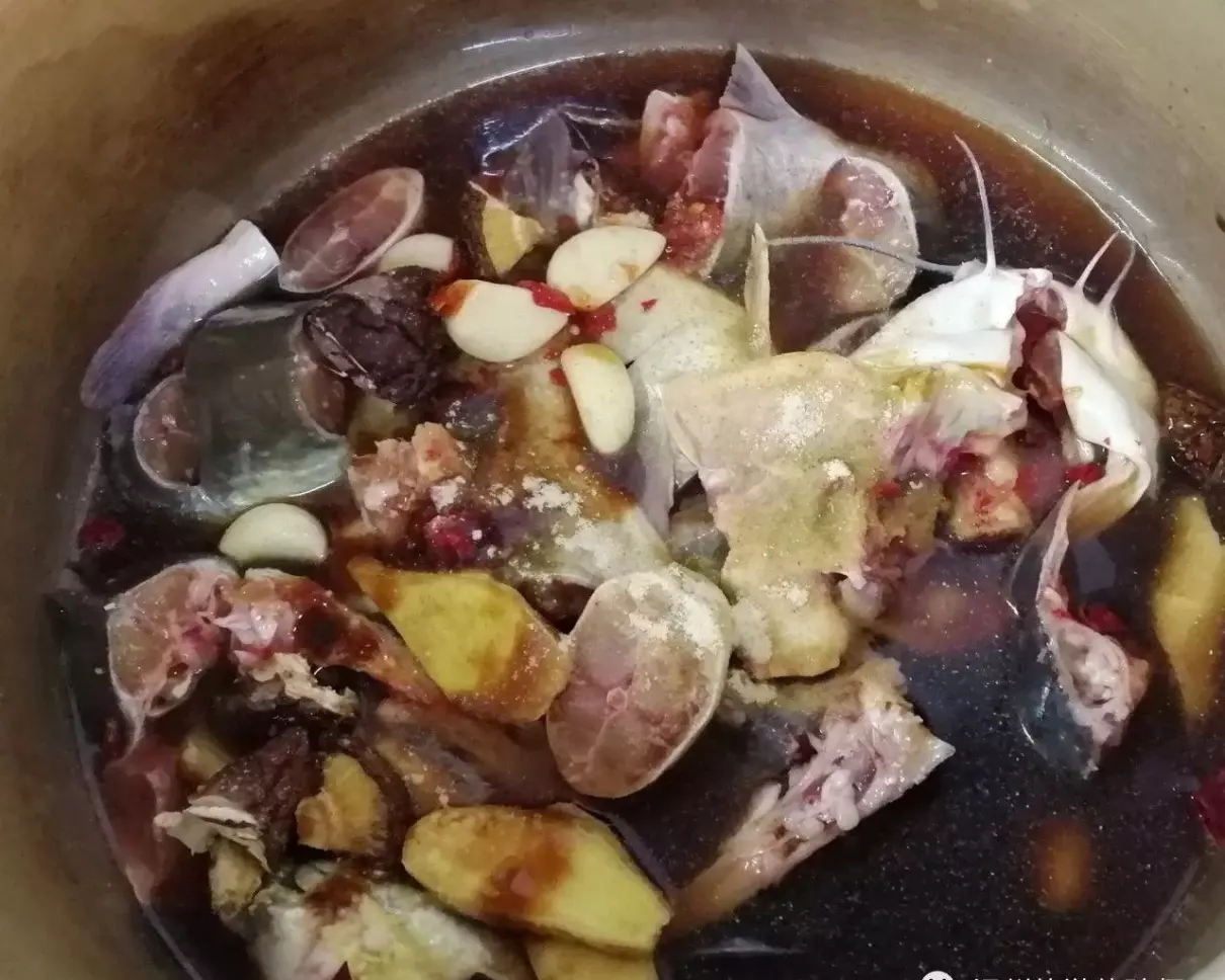 王鱼是海鱼还是淡水鱼(7)