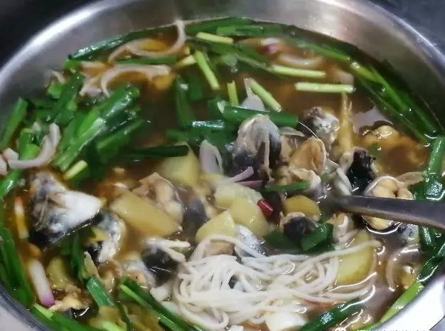 王鱼是海鱼还是淡水鱼(8)
