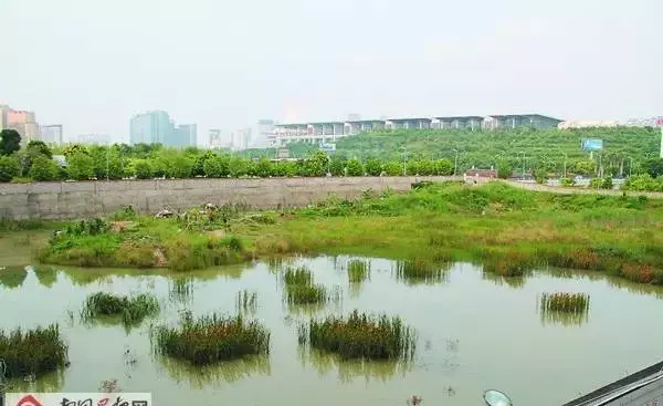广西第一高楼有多少层(2)