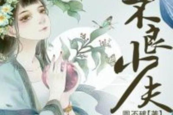 不良少夫讲的是什么.