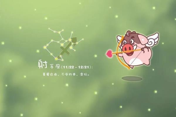 射手座上升星座是什么座.