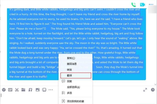 汉语翻译成英文用什么软件.