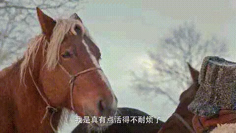 为什么赵霁会看上索牧(15)