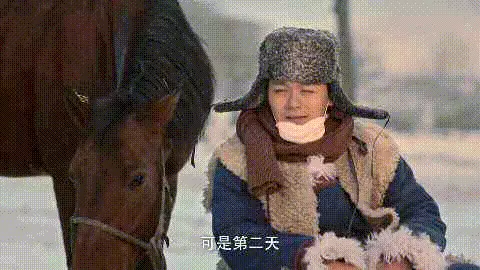 为什么赵霁会看上索牧(16)