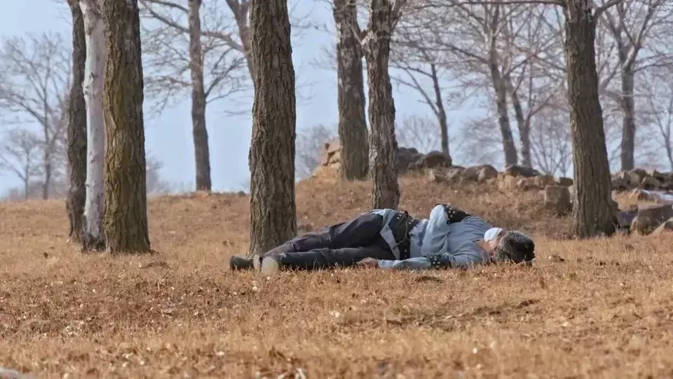 为什么赵霁会看上索牧(17)