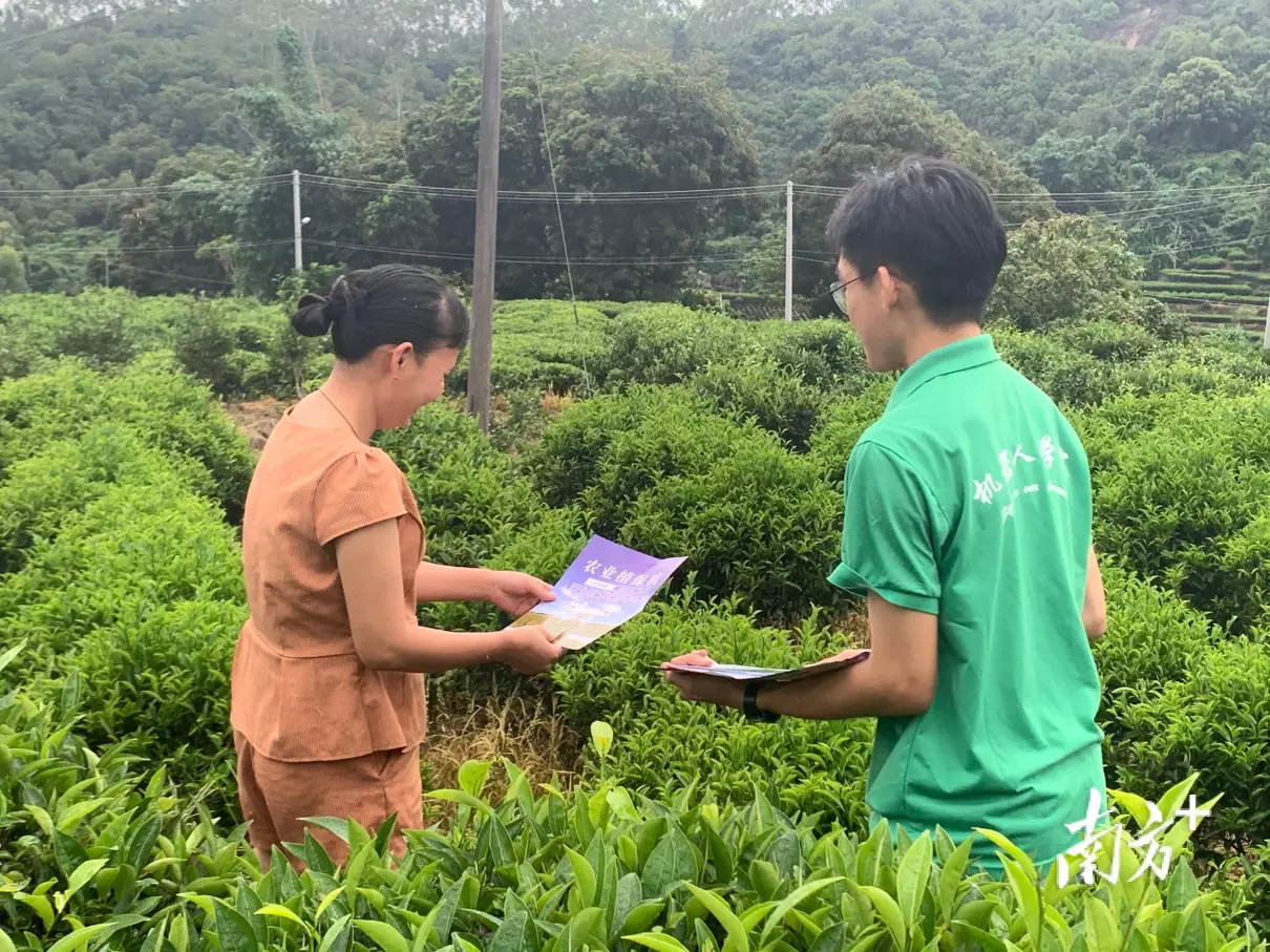广东省开放大学什么级别(2)