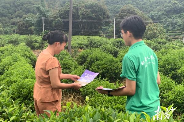 广东省开放大学什么级别.