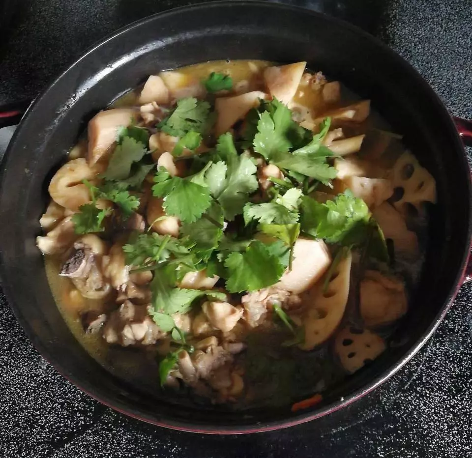 炖鸡腿放什么调料最好吃窍门(6)