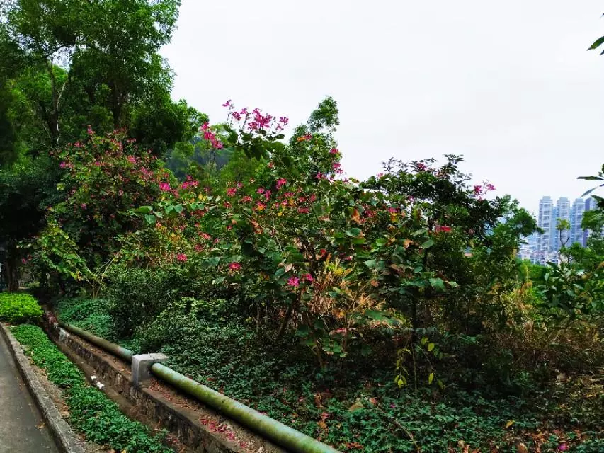 珠海户外网和驴友哪个好(104)