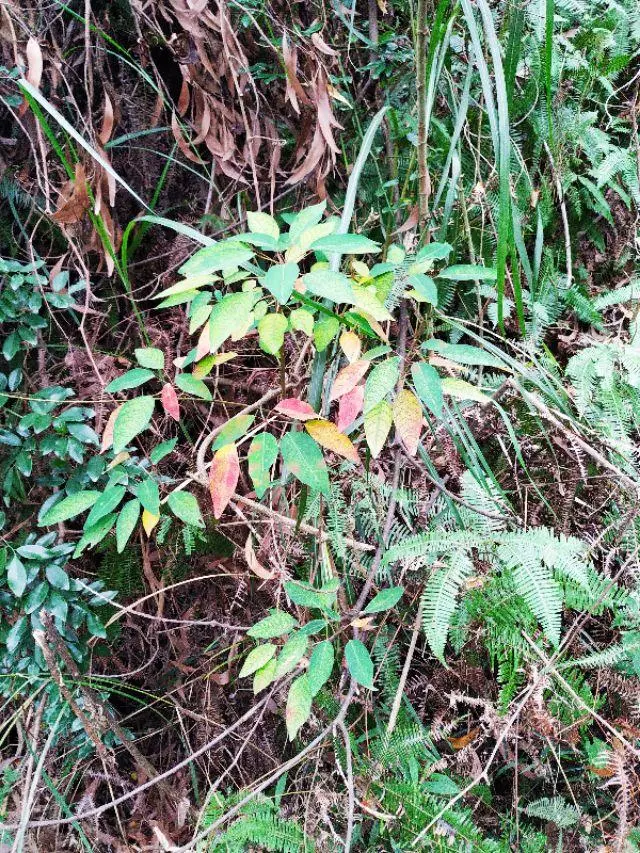 珠海户外网和驴友哪个好(14)