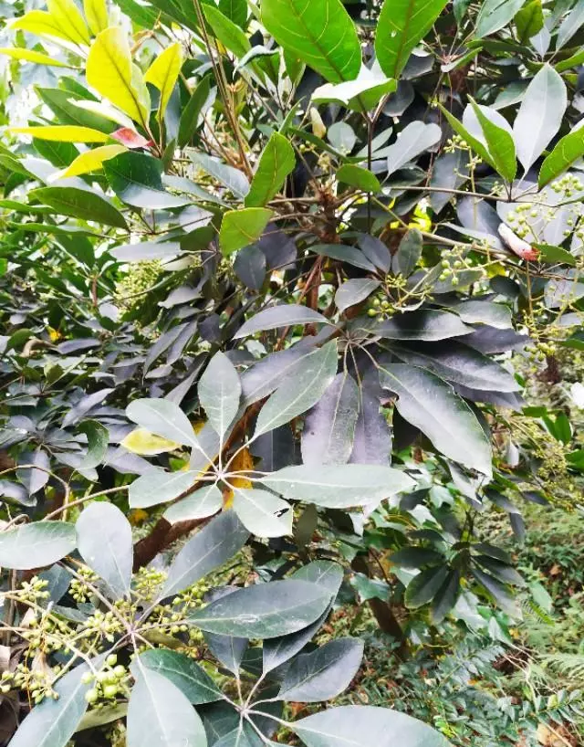 珠海户外网和驴友哪个好(18)