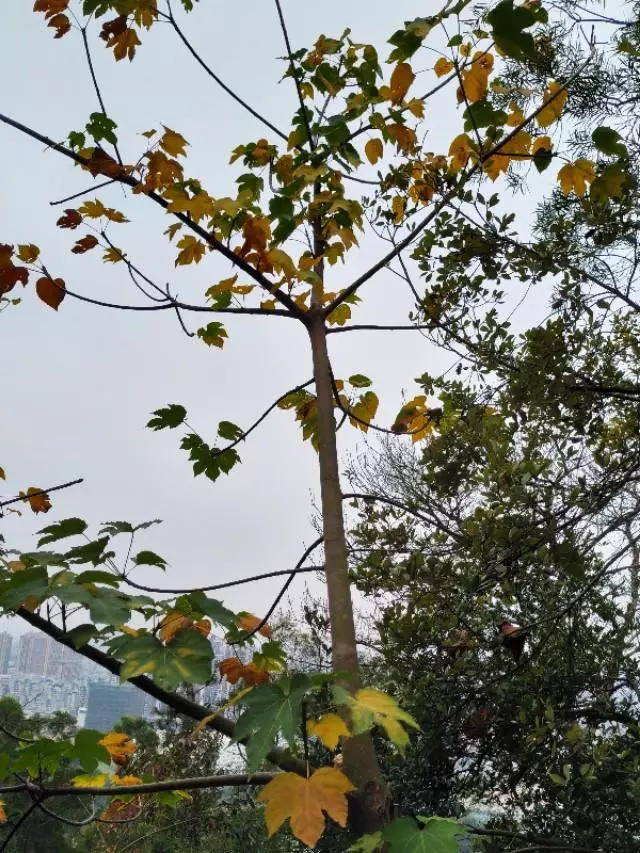珠海户外网和驴友哪个好(21)
