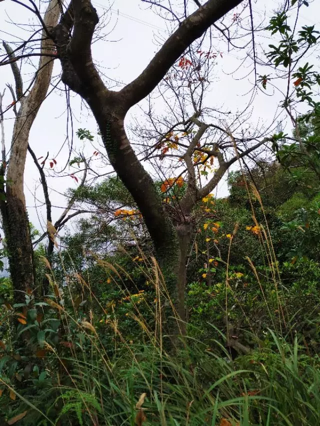 珠海户外网和驴友哪个好(26)
