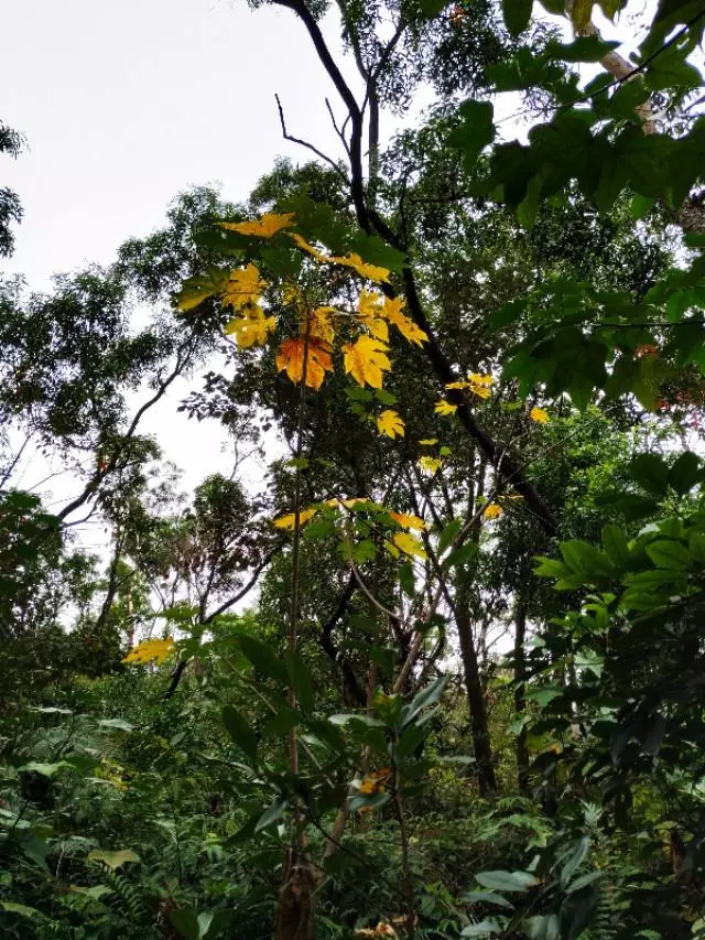 珠海户外网和驴友哪个好(2)