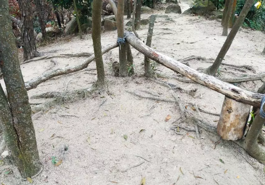珠海户外网和驴友哪个好(31)