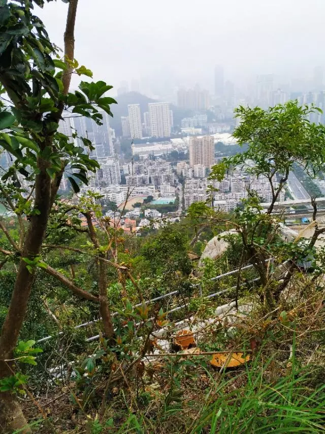 珠海户外网和驴友哪个好(92)