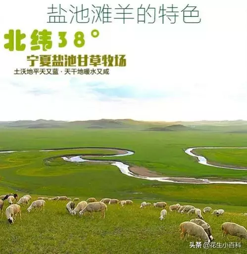 宁夏哪个省的城市甘肃的吗?(18)