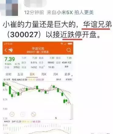 杨旭文和张俪还在一起吗(63)