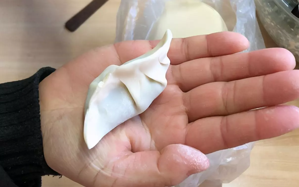 简单又好看的包饺子方法(7)