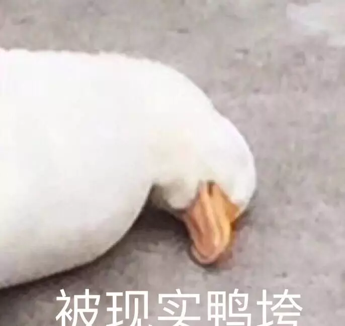 2010考研英语一有多难(10)