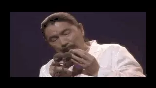 95神雕侠侣插曲纯音乐有哪些(9)