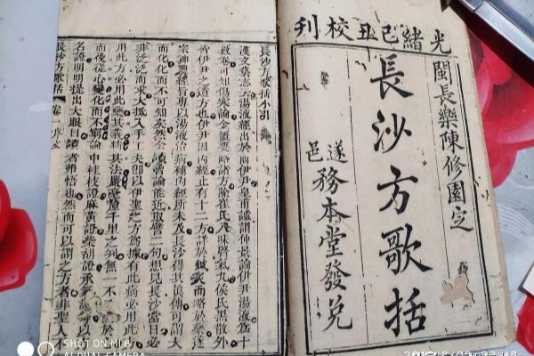 内经中恶血指的是什么血瘀呢.