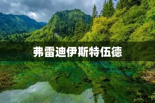 弗雷迪伊斯特伍德 算小妖吗(1)