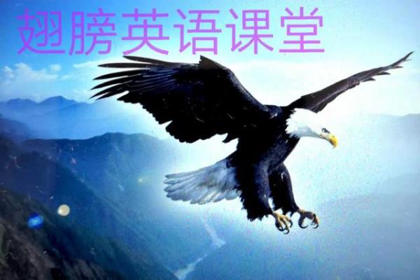 过去常常做某事的英语怎么说.