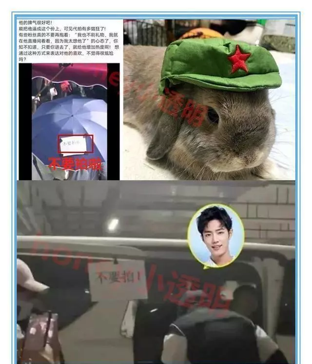 肖战爸爸妈妈探班是哪一期(5)