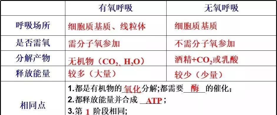 无氧呼吸的主要场所是什么(11)